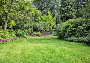 Optimiser l'expérience du jardin à Chavannes